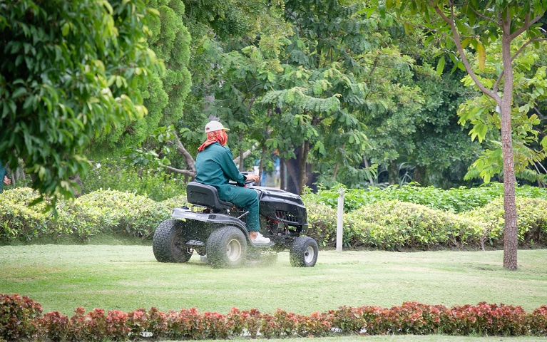 Lawn and Landscape Business in Brevard County