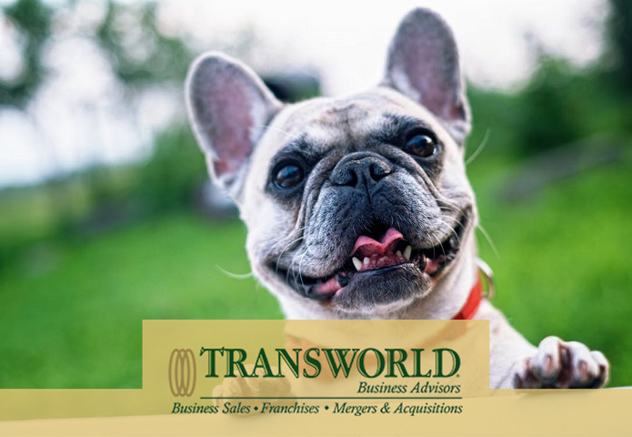 Successful Retail Pet Store and Grooming Business