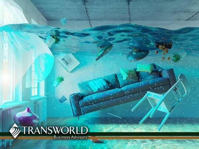 Water and Mold Remediation Company