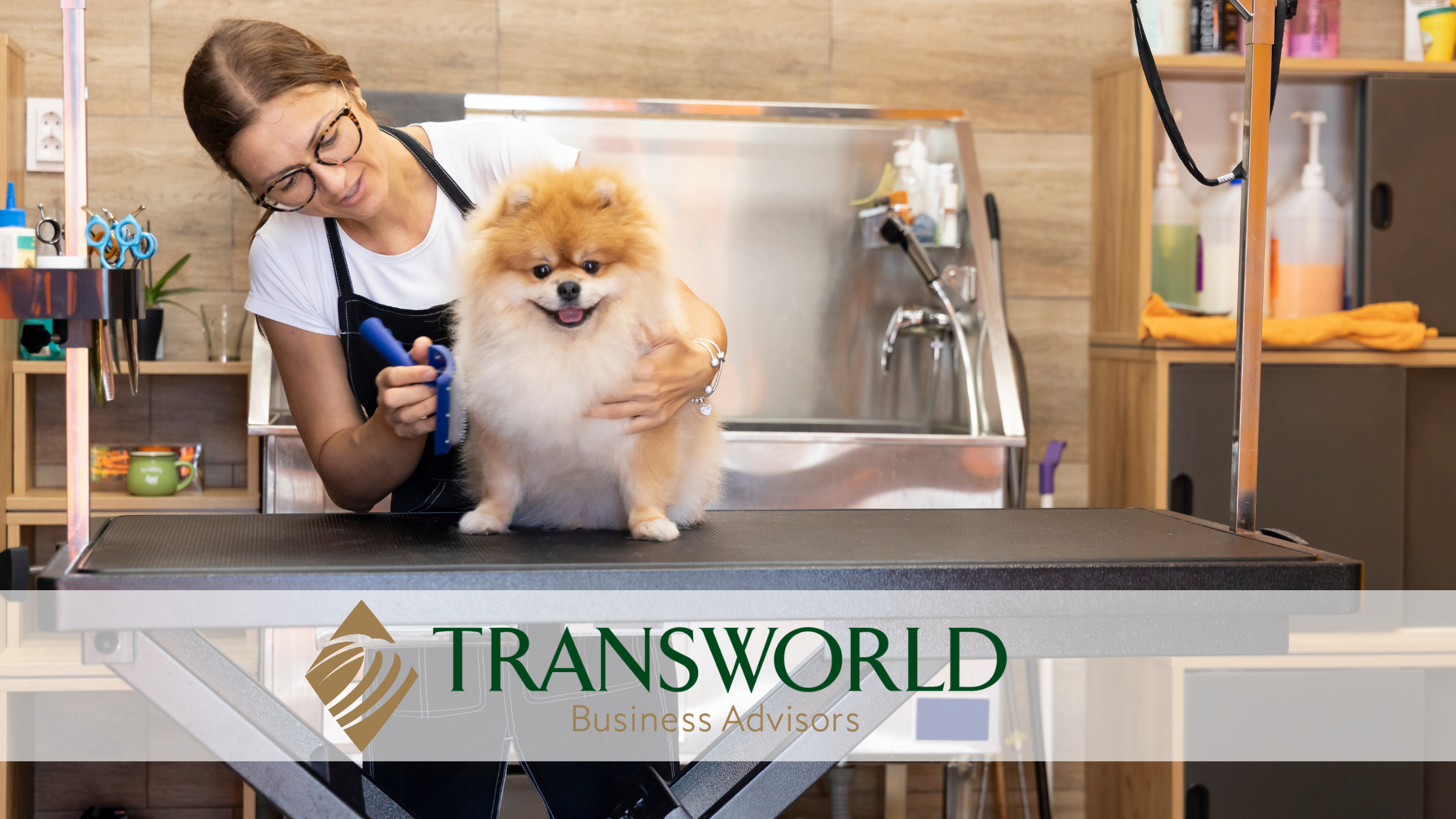 Picture Idea: Fully Functioning Pet Grooming Boarding Business