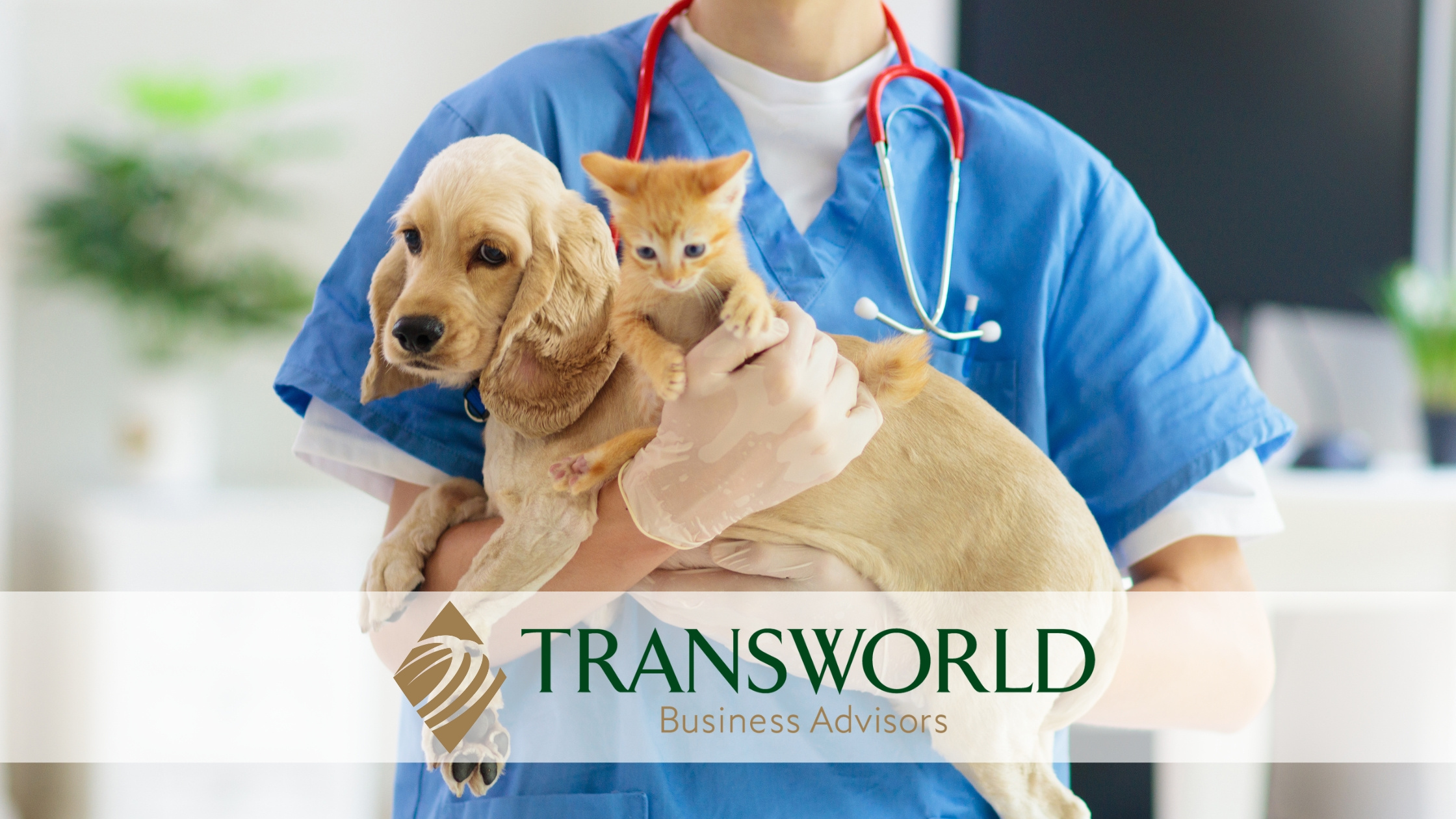 Thriving Dog Boarding Facility with Real Estate, Brazoria County ...