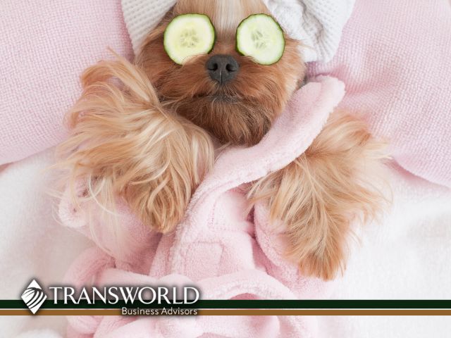 Thriving Pet Grooming Business in Upscale Shopping Plaza