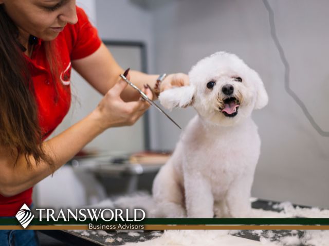 Well Established High Qualify Pet Grooming Business in St Pete FL